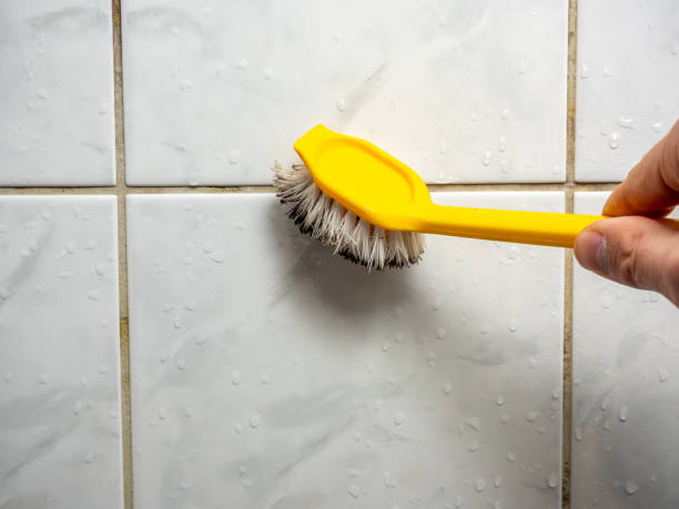 Best Mold Inspection  in Peosta, IA