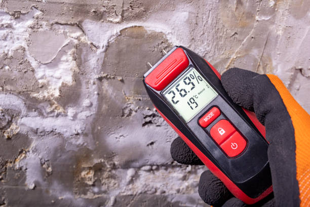 Best Mold Removal Company Near Me  in Peosta, IA