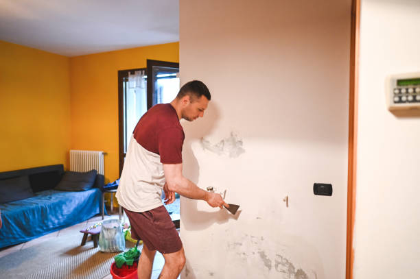 Best Water Damage Restoration  in Peosta, IA